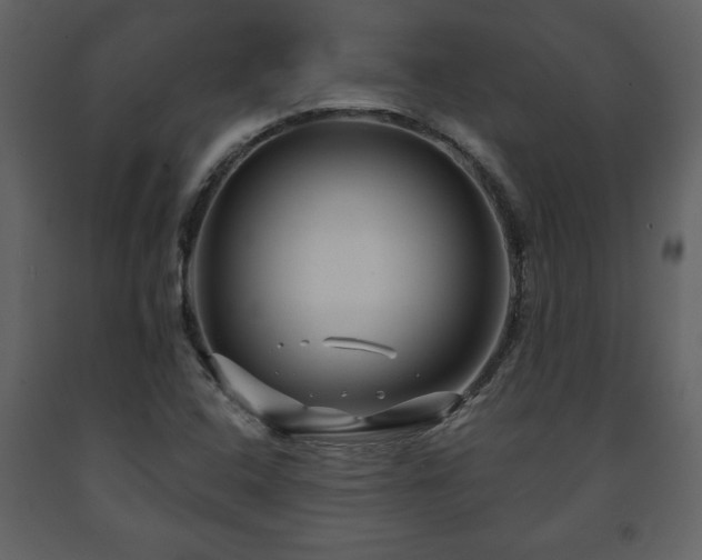 X0000091681408200708231406