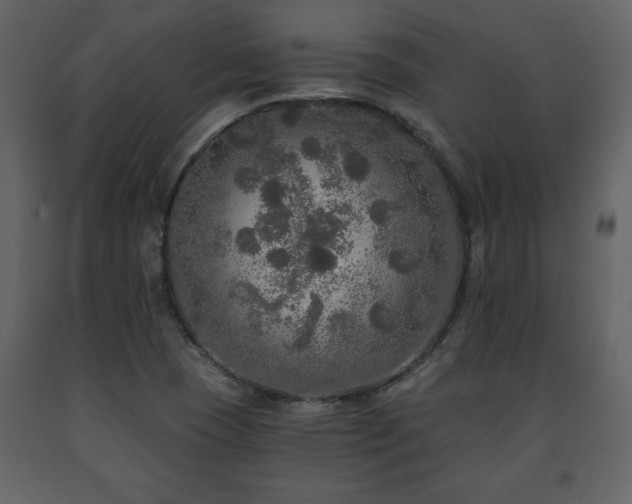 X0000091681409200708231406