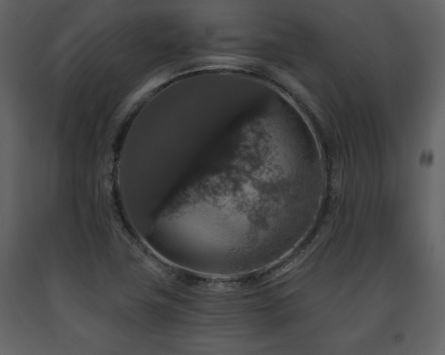 X0000091681411200708231406