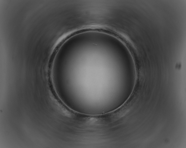 X0000091681412200708231406