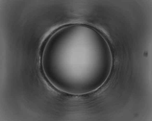 X0000091681414200708231406