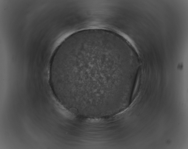 X0000091681415200708231406
