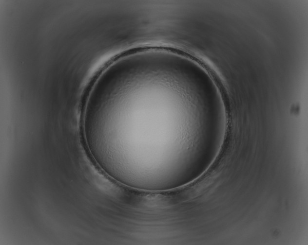 X0000091681416200708231406
