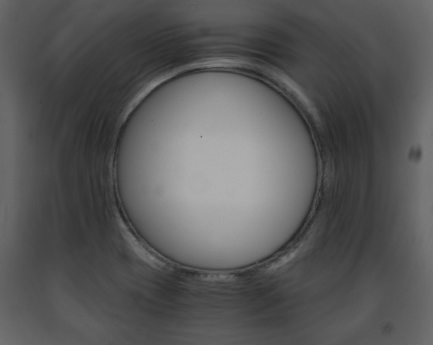 X0000091681417200708231406