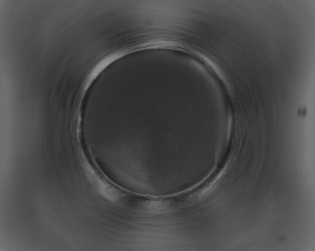 X0000091681418200708231406