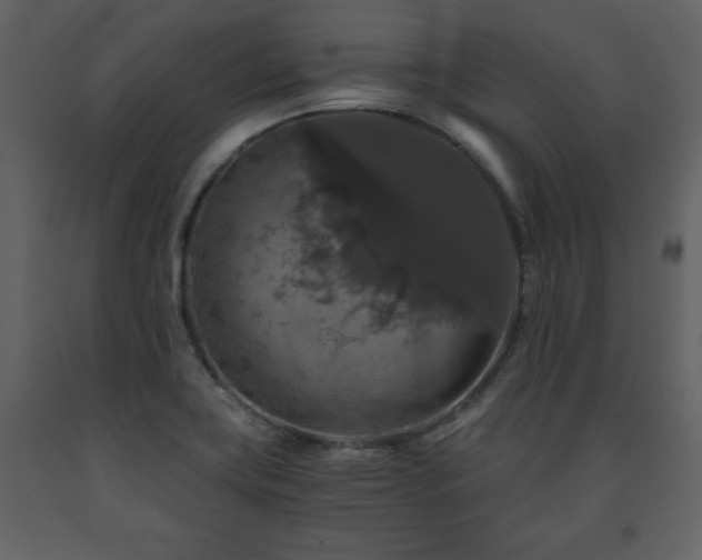 X0000091681419200708231406