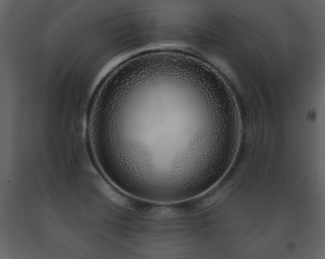X0000091681420200708231406