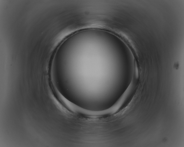 X0000091681422200708231406