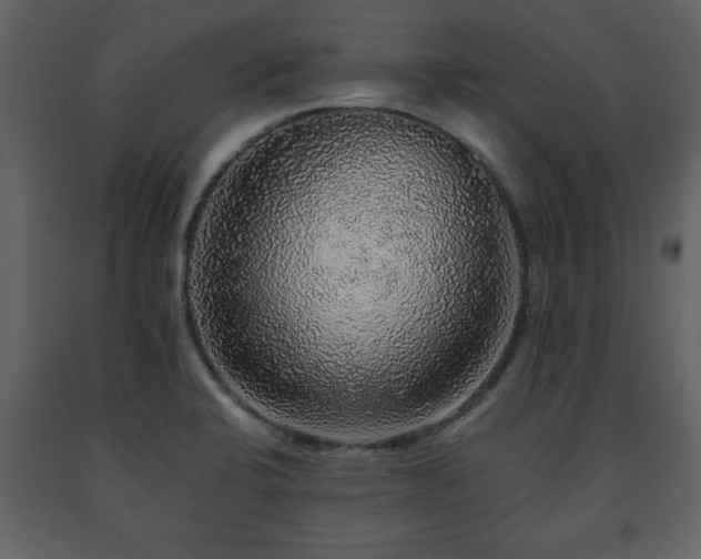 X0000091681424200708231406