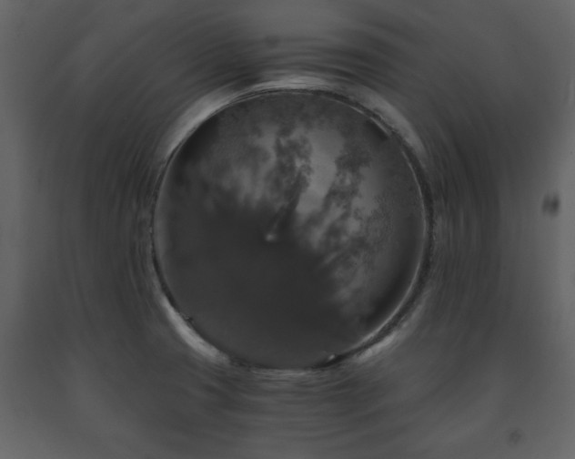 X0000091681425200708231406