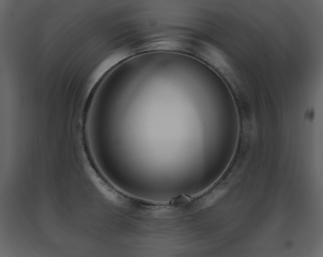X0000091681426200708231406
