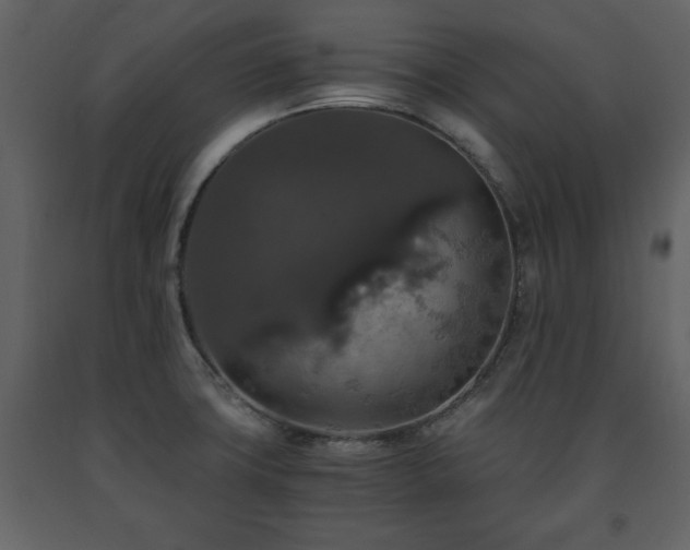 X0000091681427200708231406
