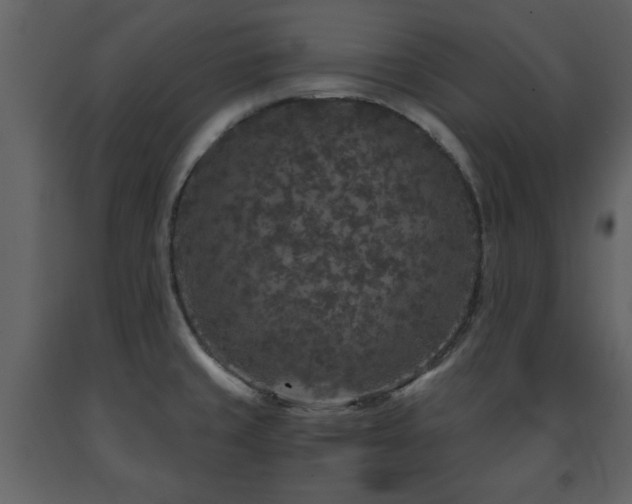 X0000091681429200708231406