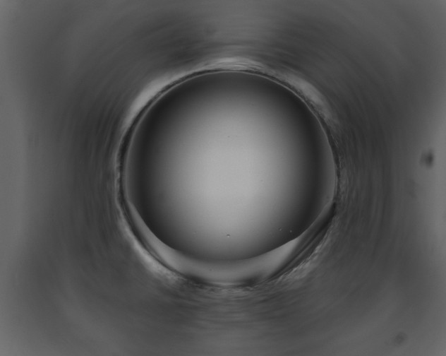 X0000091681430200708231406