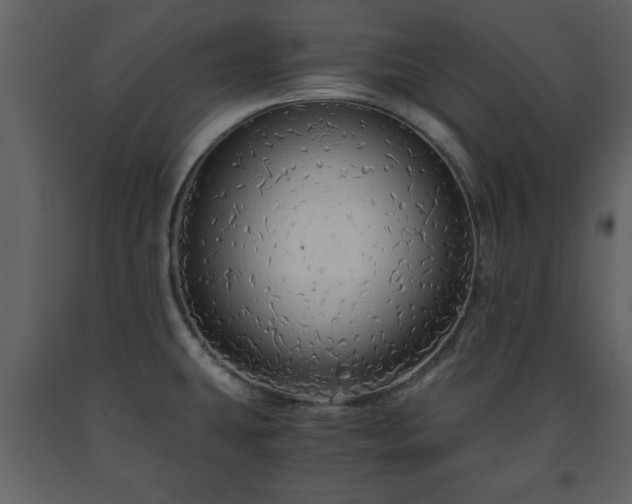 X0000091681431200708231406