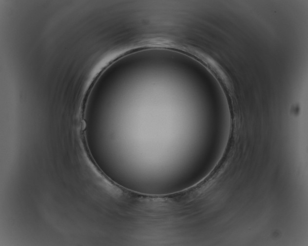 X0000091681432200708231406