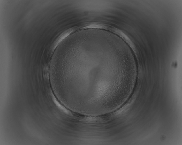 X0000091681433200708231406
