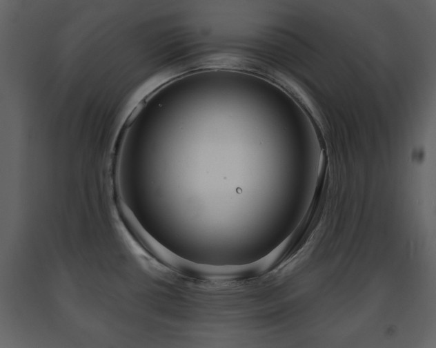 X0000091681434200708231406