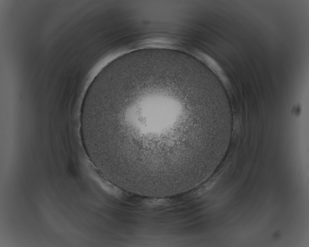 X0000091681435200708231406