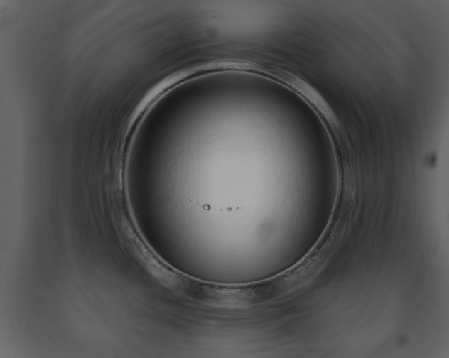 X0000091681436200708231406