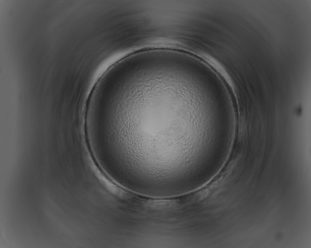 X0000091681437200708231406