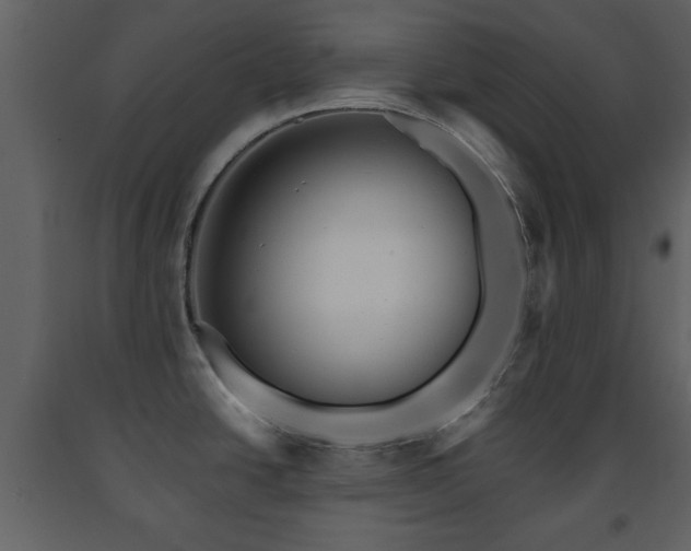 X0000091681438200708231406