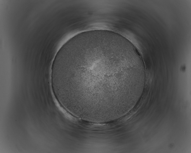 X0000091681439200708231406