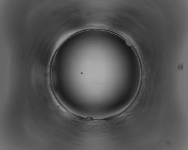 X0000091681440200708231406
