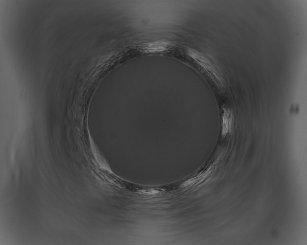 X0000091681441200708231406