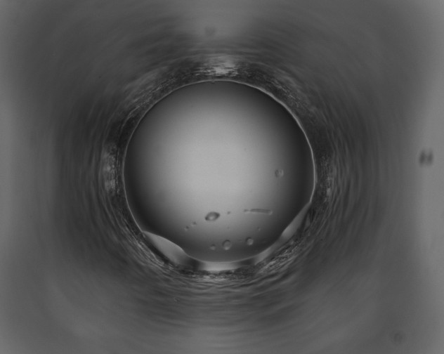 X0000091681442200708231406