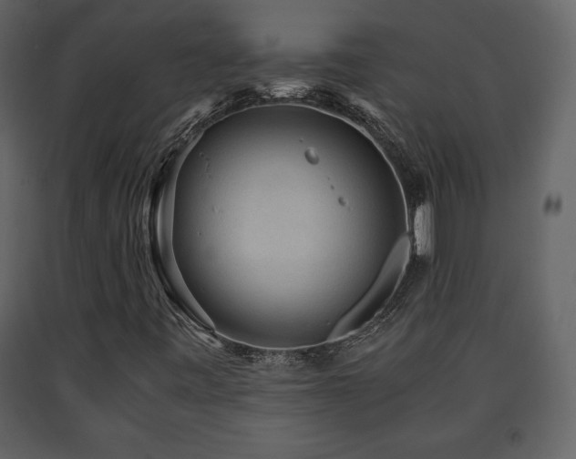 X0000091681443200708231406