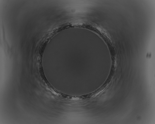 X0000091681445200708231406