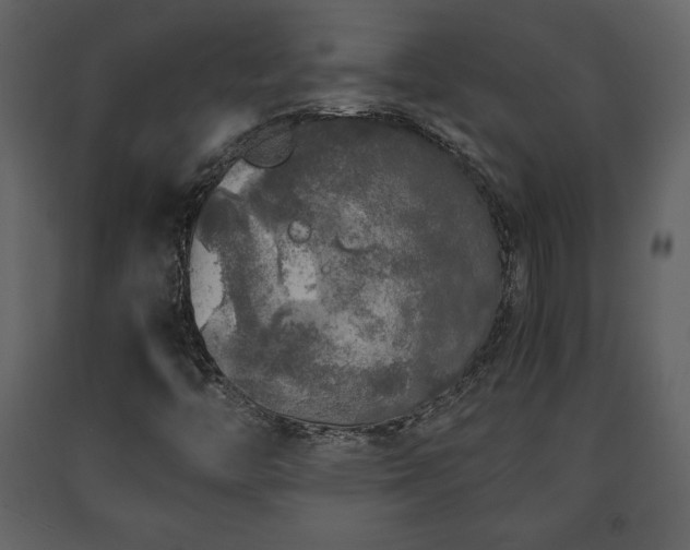 X0000091681446200708231406