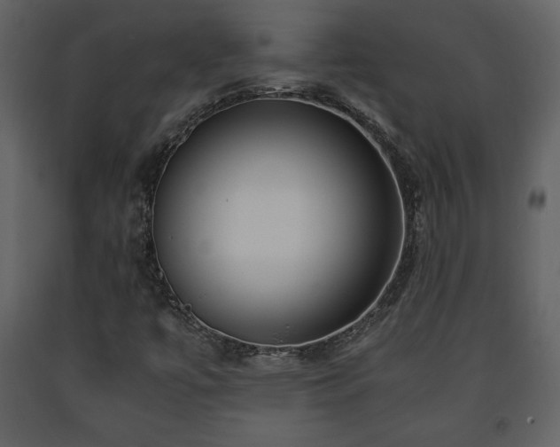 X0000091681447200708231406