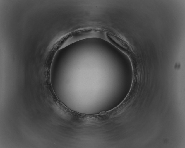 X0000091681448200708231406