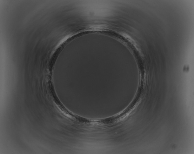 X0000091681449200708231406
