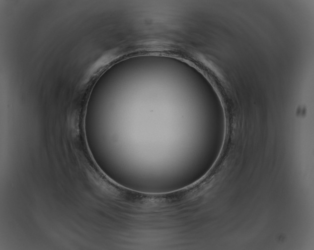 X0000091681451200708231406