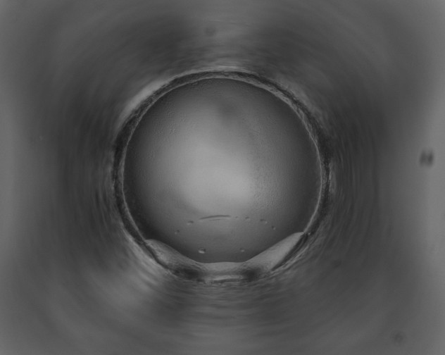 X0000091681452200708231406
