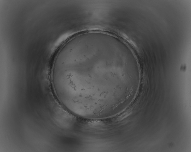 X0000091681454200708231406