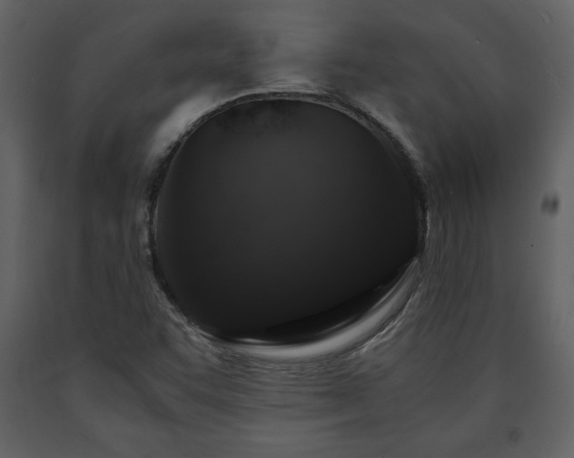 X0000091681455200708231406
