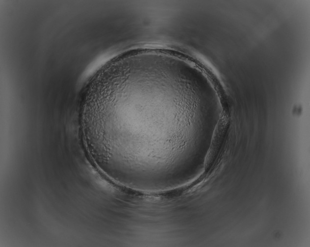 X0000091681456200708231406