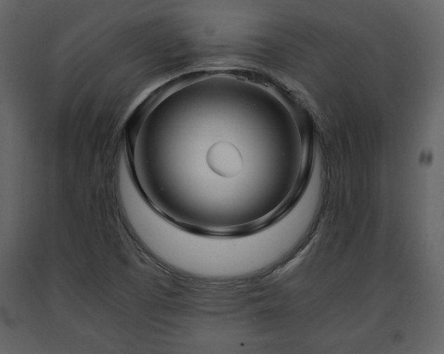X0000091681457200708231406