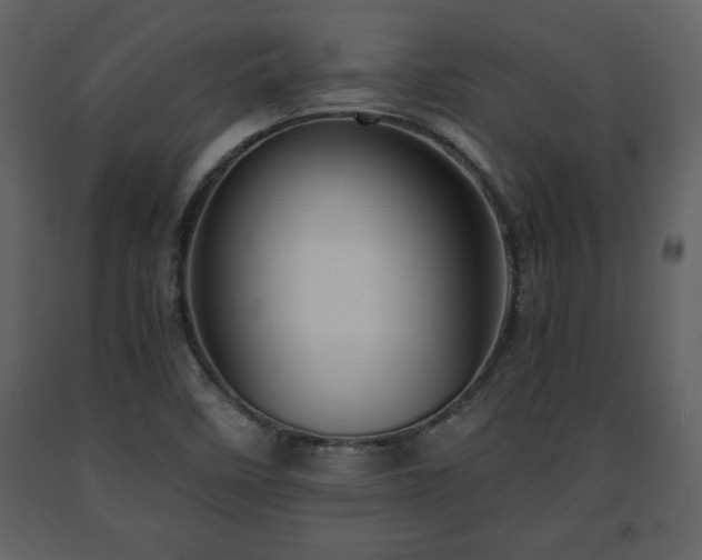 X0000091681458200708231406
