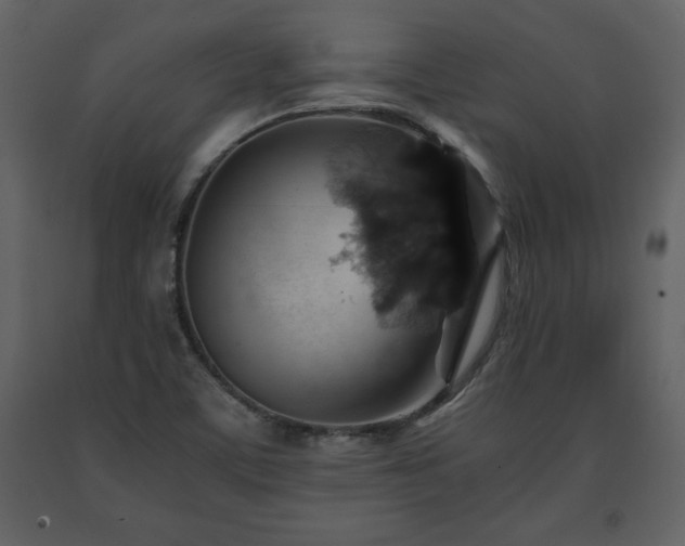 X0000091681459200708231406