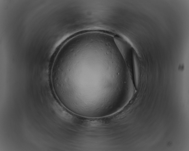 X0000091681460200708231406