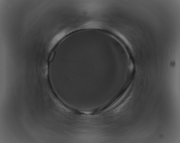 X0000091681461200708231406