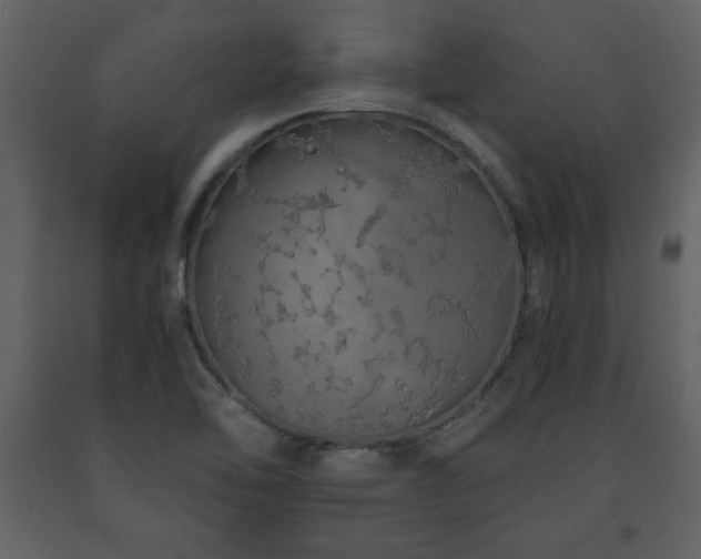 X0000091681462200708231406