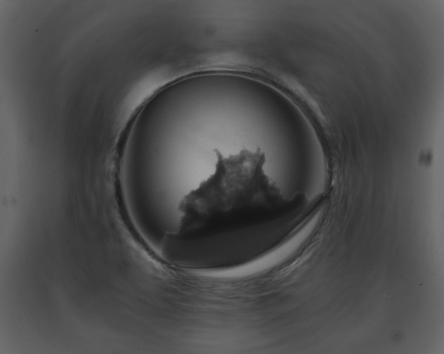 X0000091681463200708231406