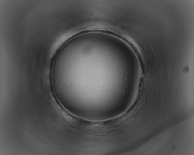 X0000091681464200708231406
