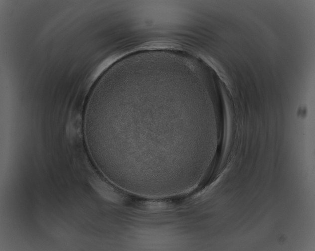 X0000091681465200708231405